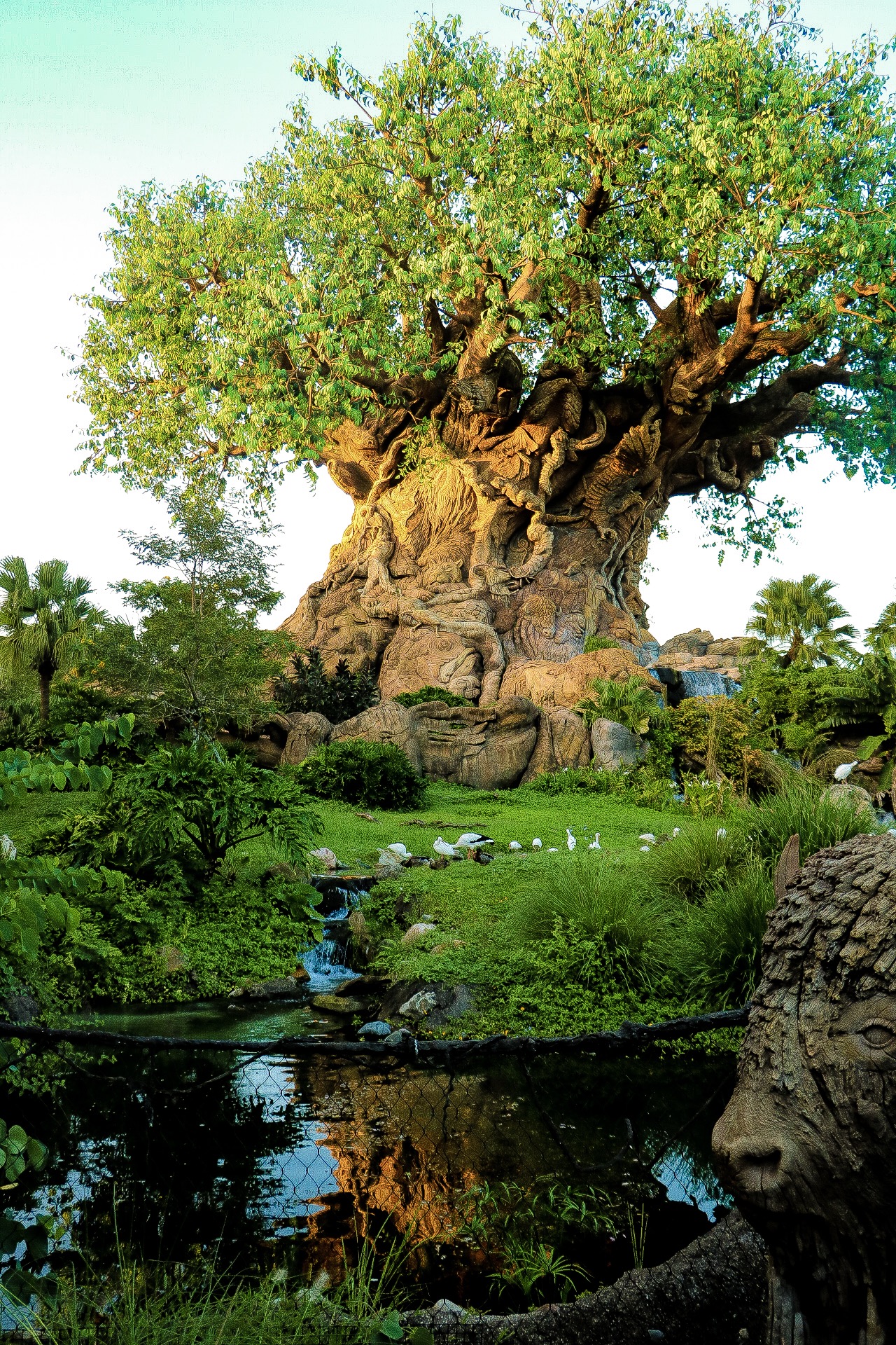 Holidays at Disney's Animal Kingdom